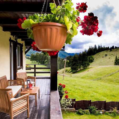 Casa Cerbul Villa Fundata Buitenkant foto