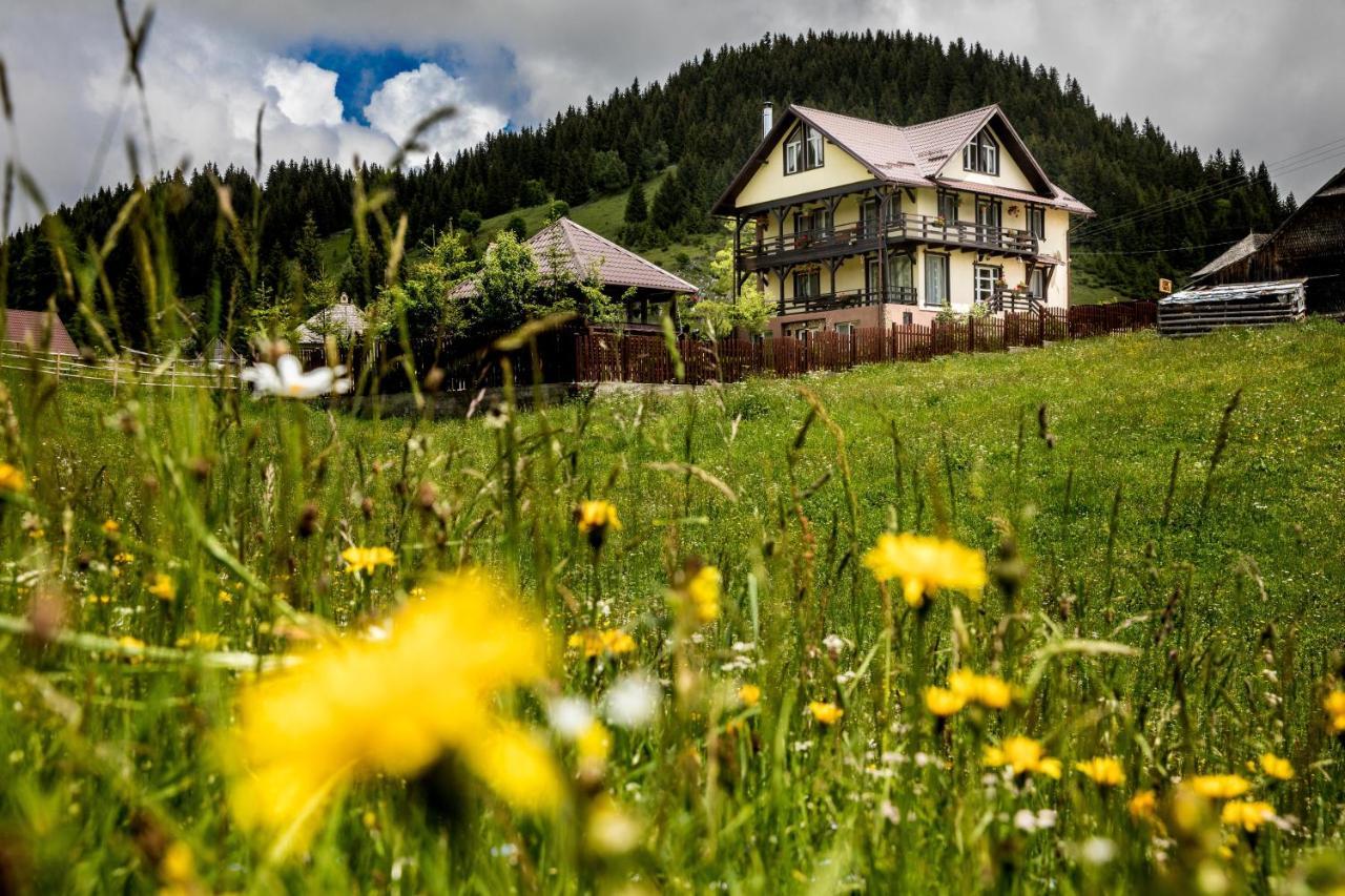 Casa Cerbul Villa Fundata Buitenkant foto