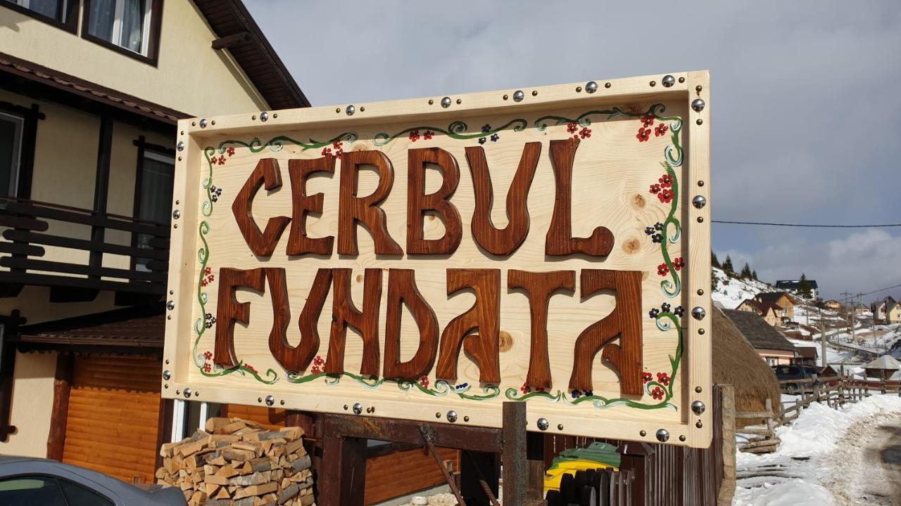 Casa Cerbul Villa Fundata Buitenkant foto